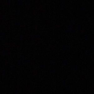 Meet your Posher, Riley